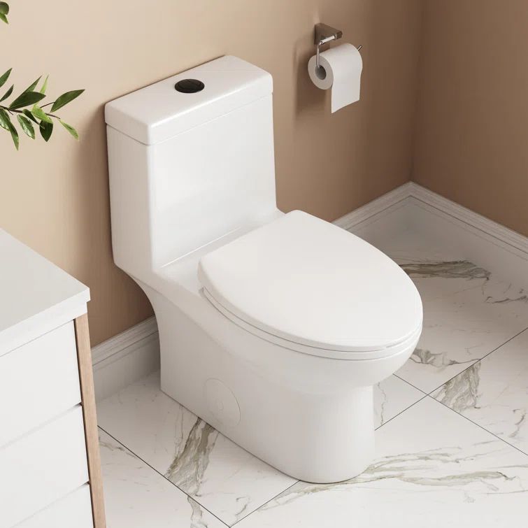 Ally White Ceramic Dual-Flush Elongated One-Piece Toilet with Black Button