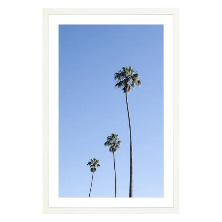 Large White Framed Palm Tree Photographic Print