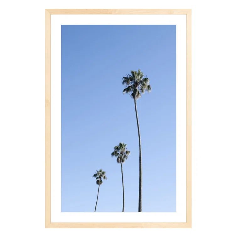 Large Oak Framed Photographic Print of Palm Trees