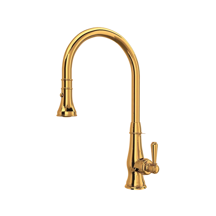 Classic Patrizia Polished Nickel Pull-out Spray Kitchen Faucet