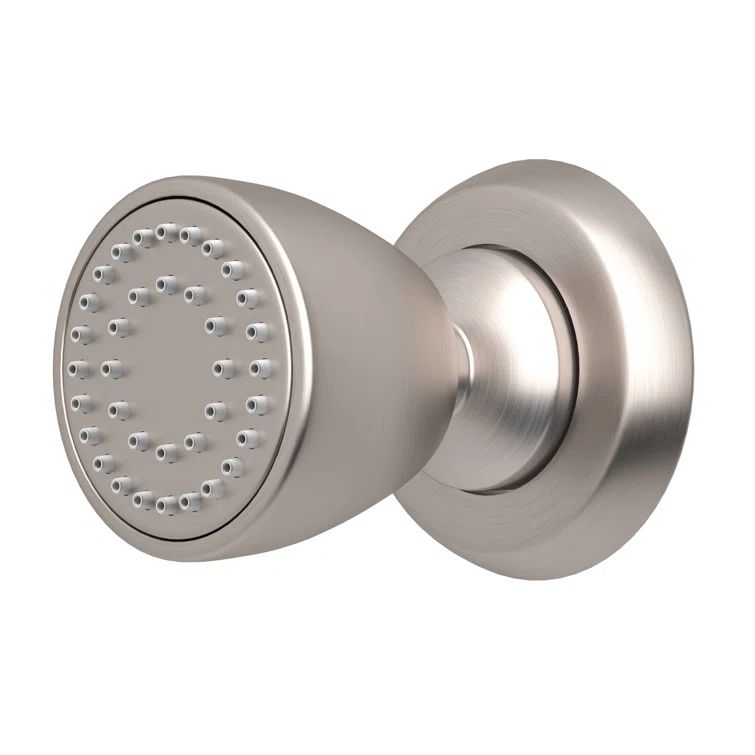 Holborn Transitional Polished Nickel Single-Function Body Spray