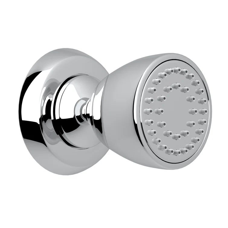 Holborn Transitional Polished Nickel Single Function Body Spray