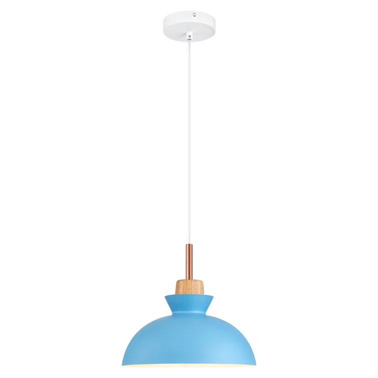 Blue Bird Aluminum Dome Pendant Light with Adjustable Cord