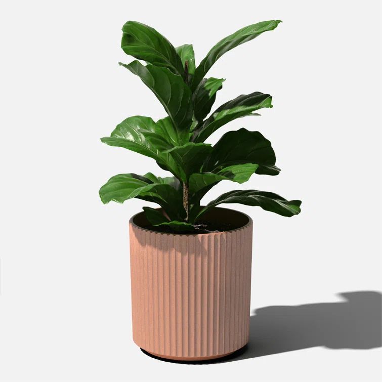 Terracotta Fluted Plastic-Stone Round Planter for Indoor/Outdoor Use
