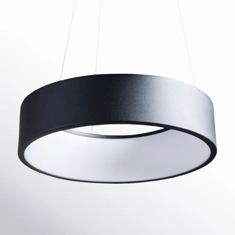 Fynn 17.75" Black Drum LED Pendant Light