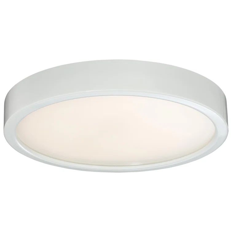 White Glass LED Flush Mount Ceiling Light for Indoor/Outdoor