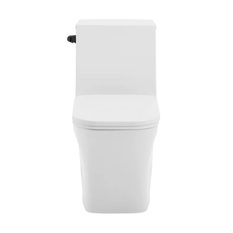 Concorde Glossy White One-Piece Elongated Toilet with Black Hardware