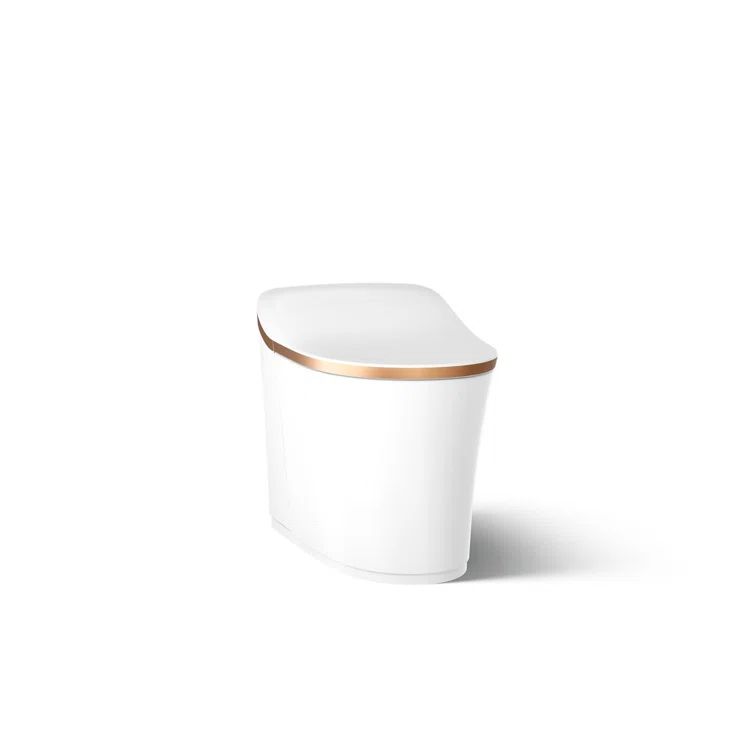 White and Sunrise Gold Trim High Efficiency Elongated One-Piece Toilet