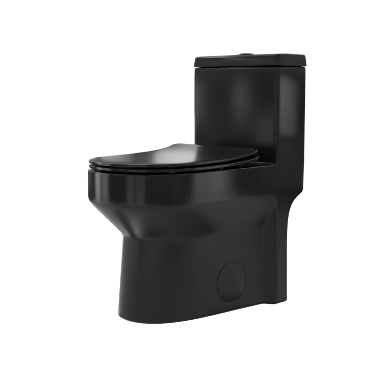 Compact Black Ceramic Dual Flush Round Toilet with Quiet-Close Seat