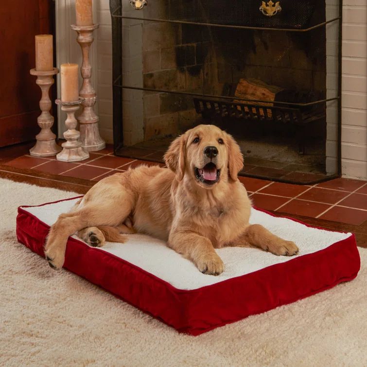 Small Crimson Orthopedic Dog Bed with Sherpa Panel