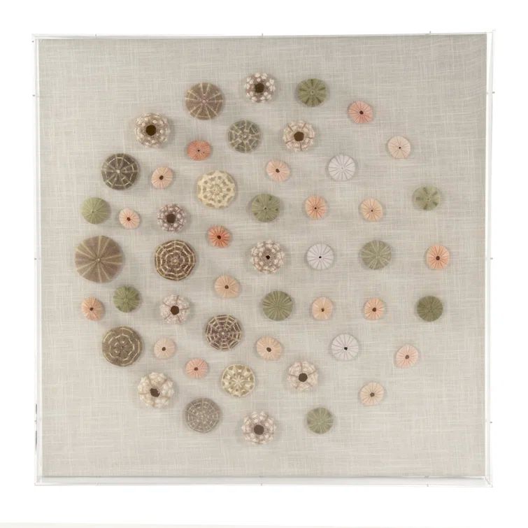 Handmade Coastal Shells Acrylic Shadowbox Wall Art