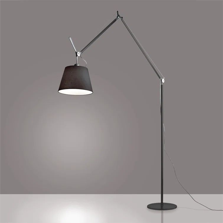 Adjustable Black Aluminum and Steel Kids Floor Lamp