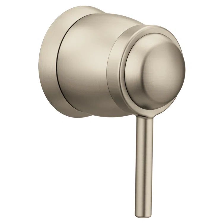 Brushed Nickel Modern Wall-Mounted Lever Shower Trim