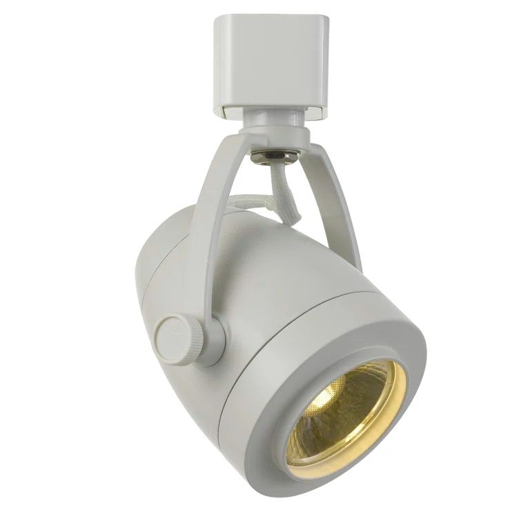 White Adjustable LED Track Head Light Fixture