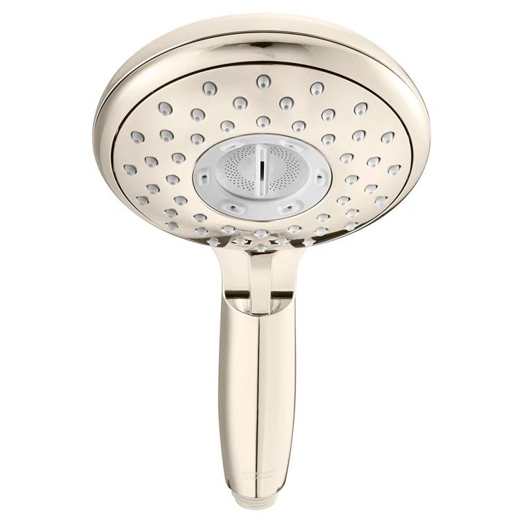 Polished Nickel Multi-Function Handheld Shower Head