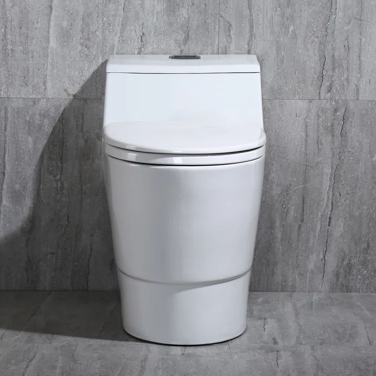 White Elongated One-Piece Dual Flush Toilet with Chrome Button