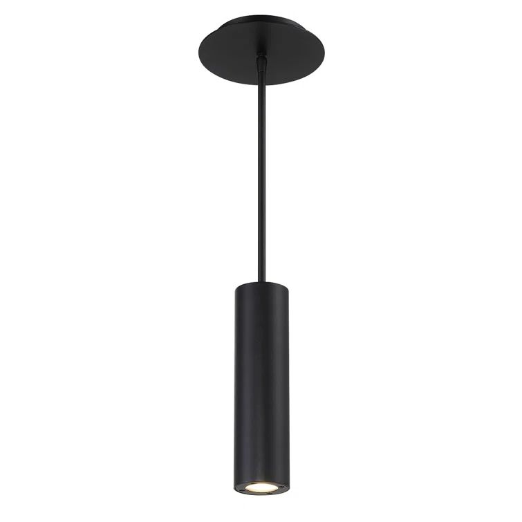 Black LED Indoor/Outdoor Pendant Light
