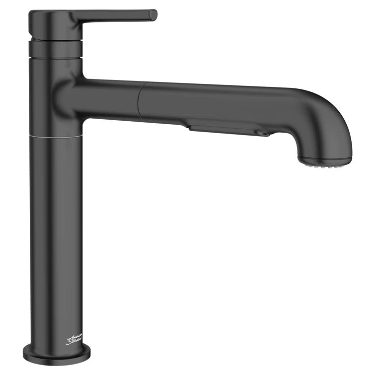 Matte Black Pull-Out Spray Kitchen Faucet