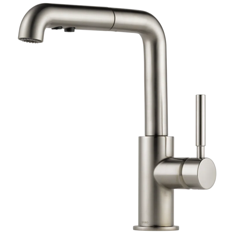 Stainless Steel Modern Pull-Out Spray Kitchen Faucet