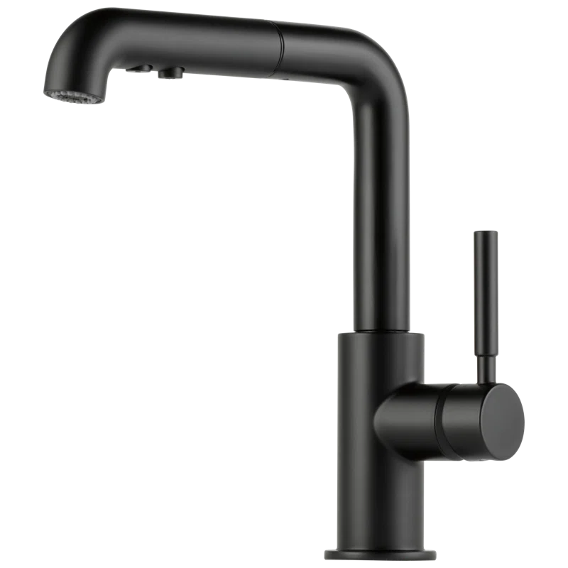 Matte Black Stainless Steel Pull-Out Kitchen Faucet