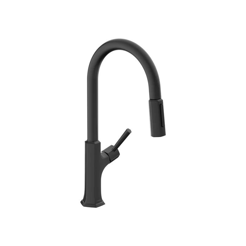 Matte Black Modern Single-Handle Kitchen Faucet with Pull-Out Spray