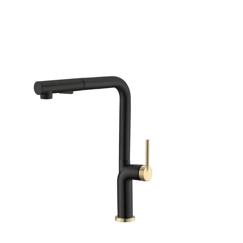 Matte Black and Gold Stainless Steel Pull-Out Spray Kitchen Faucet