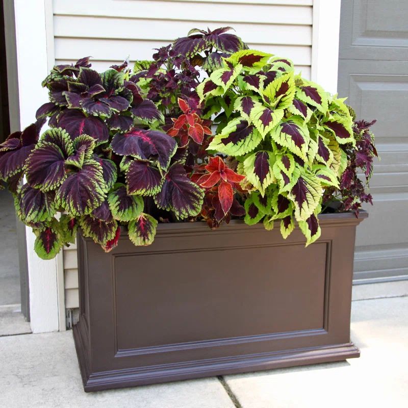 Fairfield Espresso 20"x36" Self-Watering Polyethylene Outdoor Planter