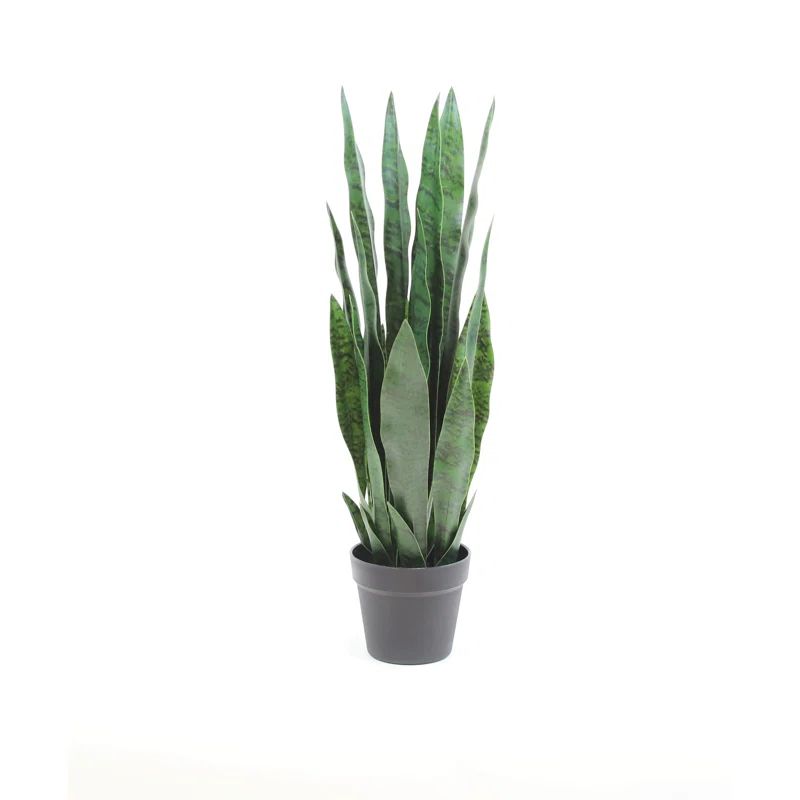25" Green Silk Snake Plant in Black Pot