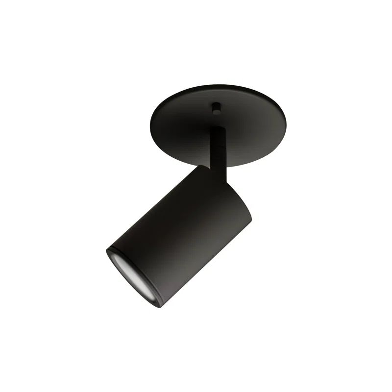 Barclay Black Powder-Coat Adjustable Spotlight