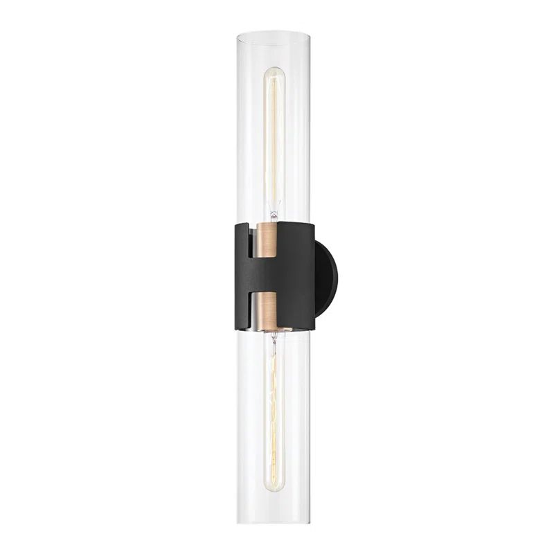 Amado Brass & Black 2-Light Dimmable Wall Sconce with Clear Glass Shades