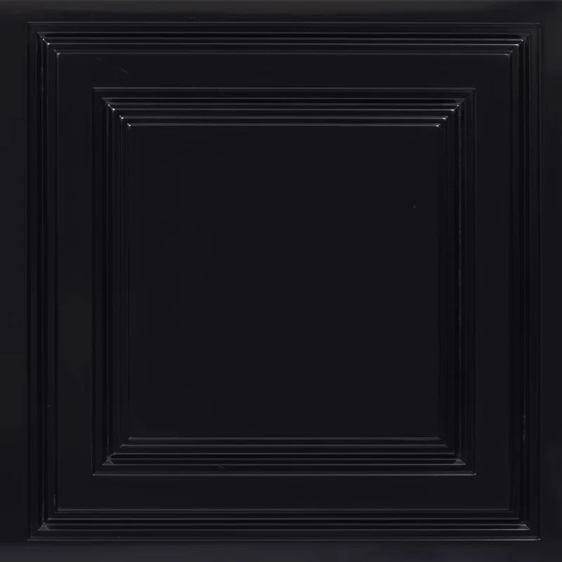 Black Glossy 24" x 24" PVC Ceiling Tile Set
