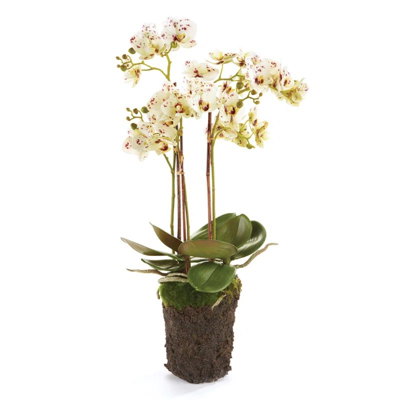 Realistic White and Purple Phalaenopsis Orchid Drop-in 20-Inch