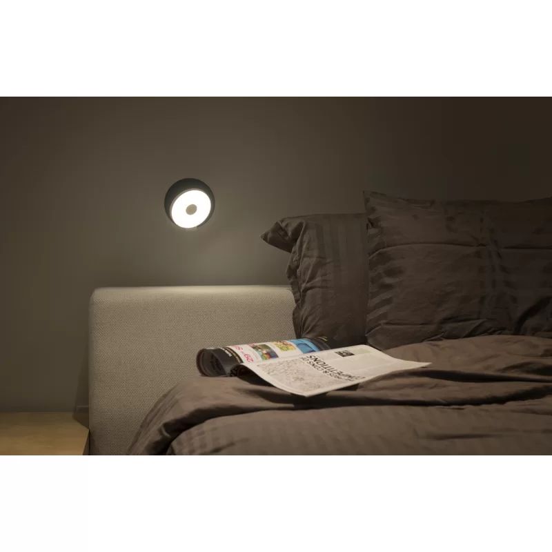 Black Dimmable LED Flush Mount Sconce