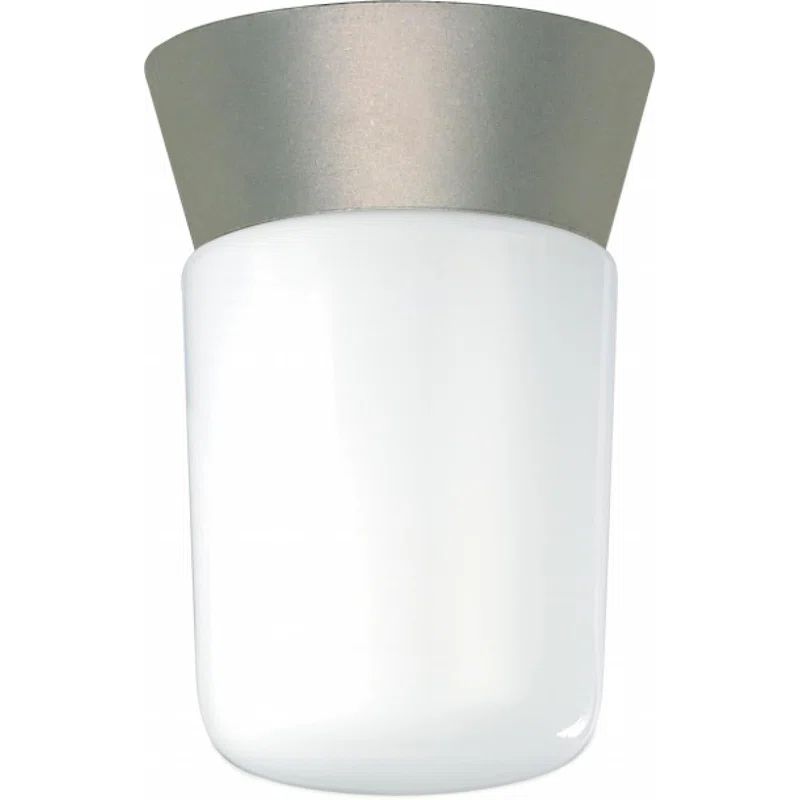 Satin Aluminum 8" Outdoor Flush Mount with White Globe