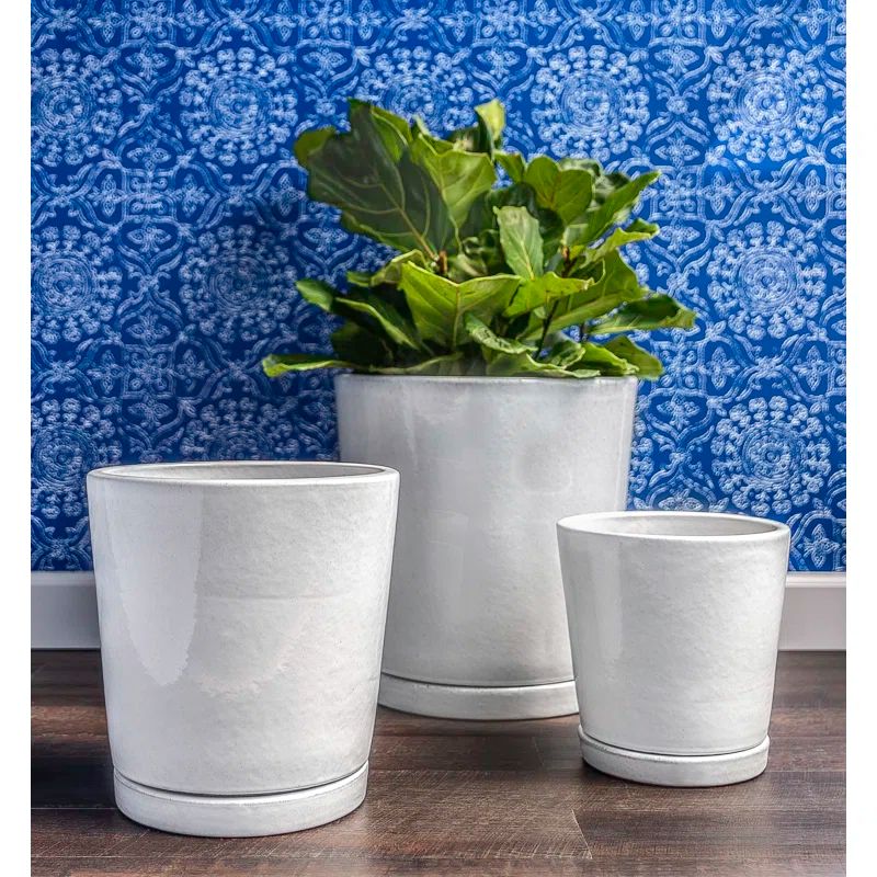 Artisanal White Terracotta Round Pot Planter Trio for Indoors & Outdoors
