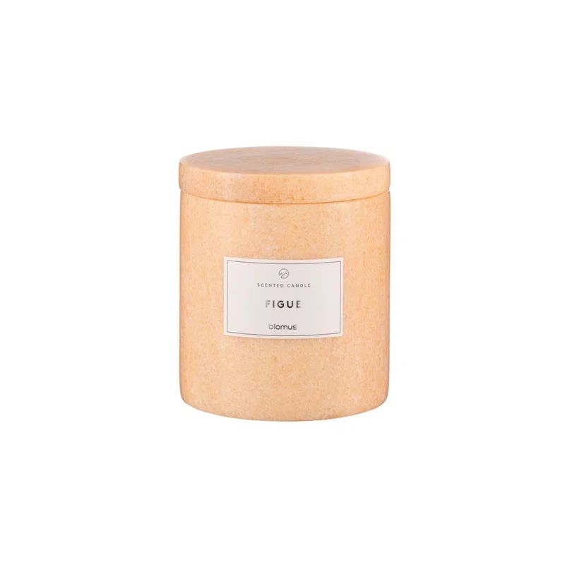 Large Tan Marble Green Fig Scented Soy Candle