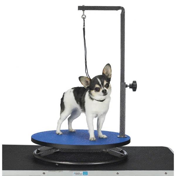 Blue 18in Small Pet Grooming Table with Adjustable Arm