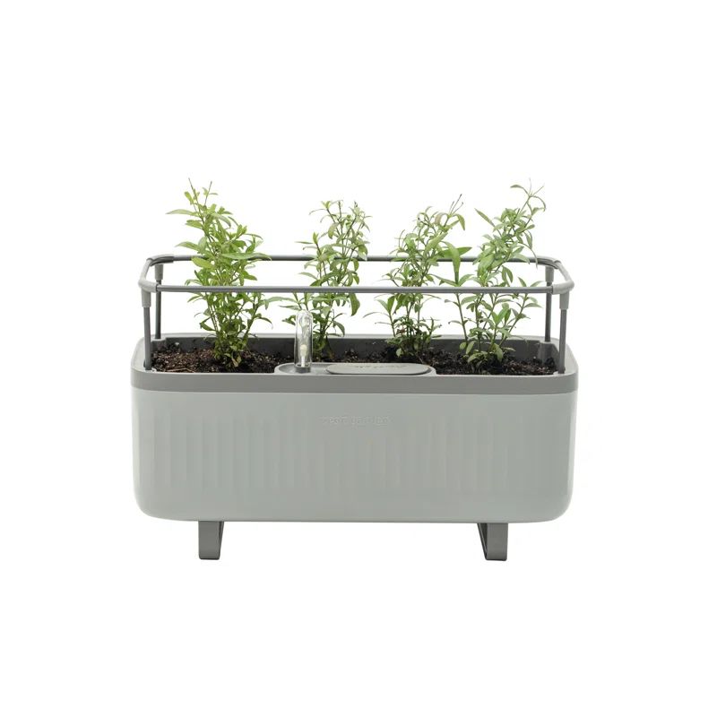Fog Gray Self-Watering Herb Planter Box with Trellis