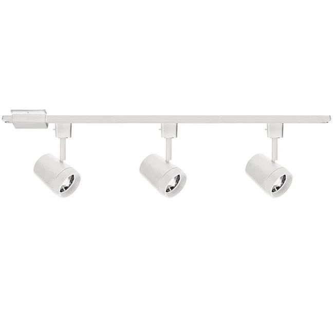 White Adjustable LED Track Lighting Kit with Glass Shades