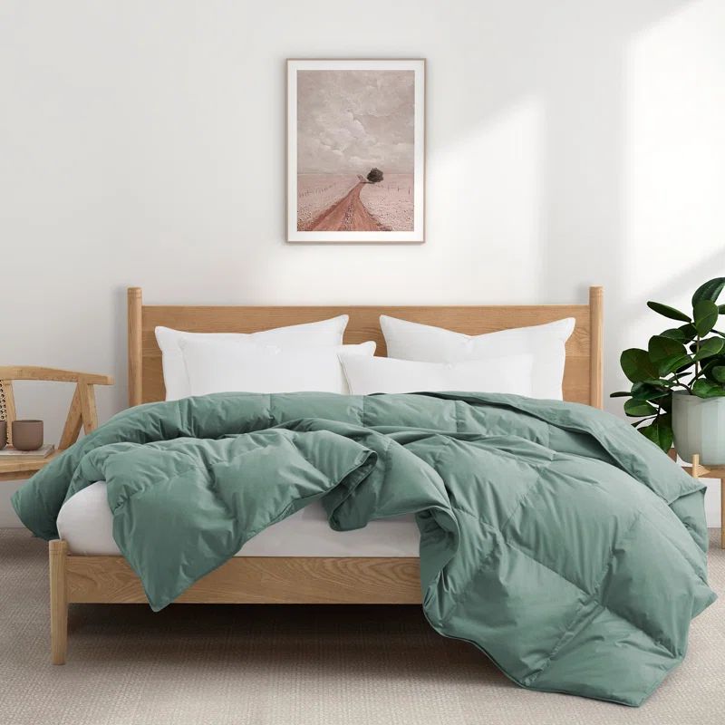 King Green Cotton Down Comforter for All Seasons