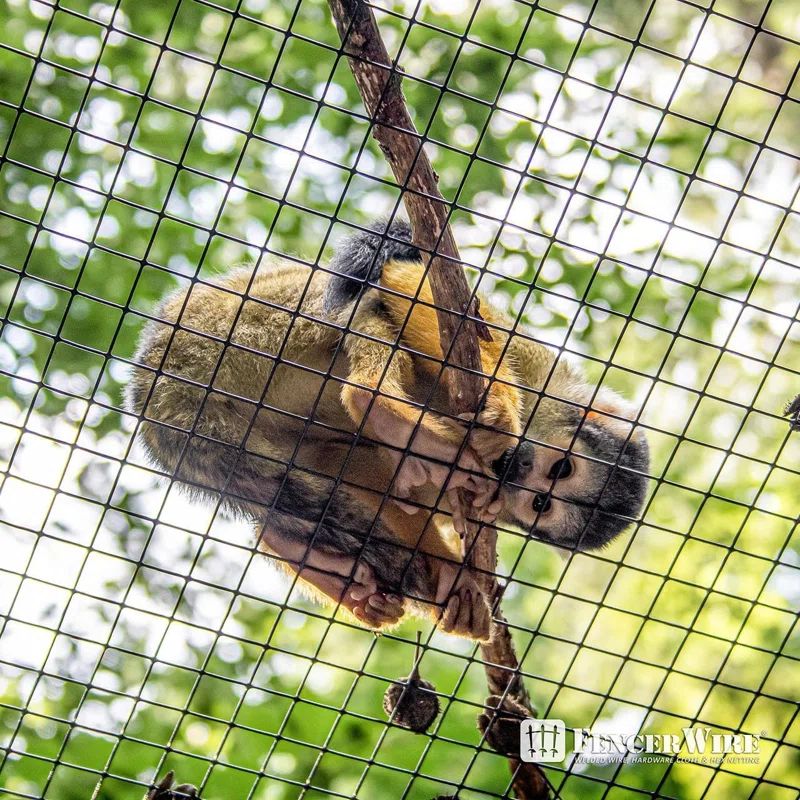 Black Vinyl Coated Metal Garden Hardware Cloth, 25 ft Roll