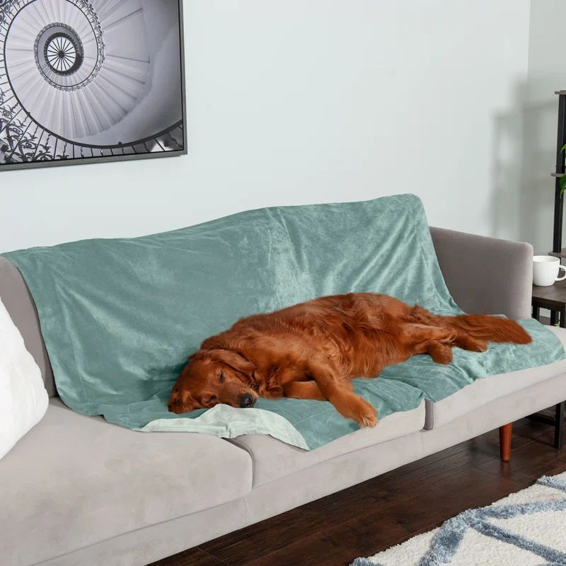 Celadon Green XL Reversible Velvet Waterproof Pet Blanket