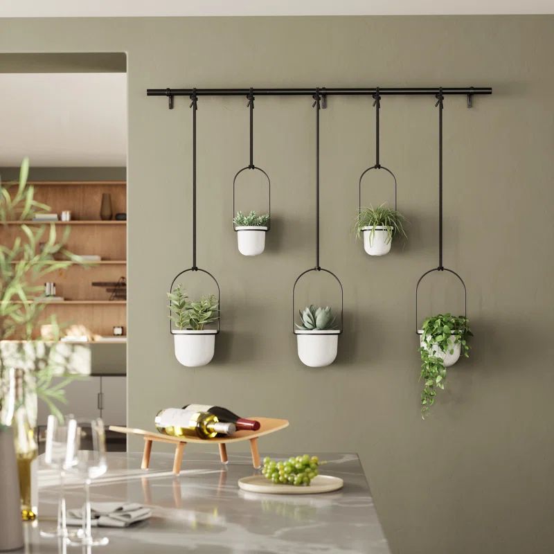 Triflora Adjustable White/Brass Indoor/Outdoor Hanging Planter
