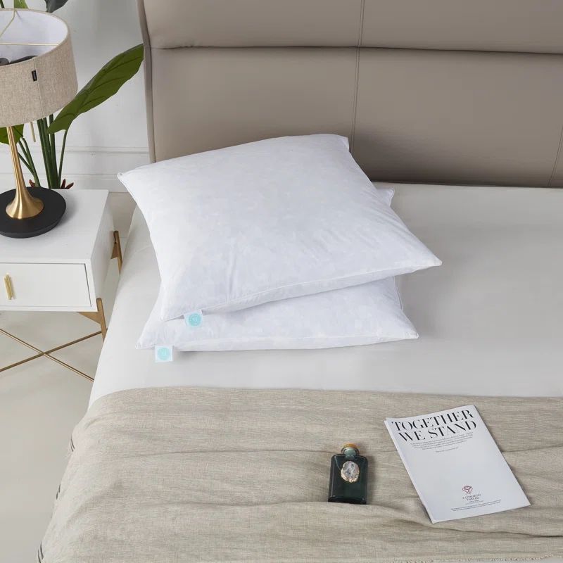 Euro 26x26 White Cotton Feather Firm Pillow Set