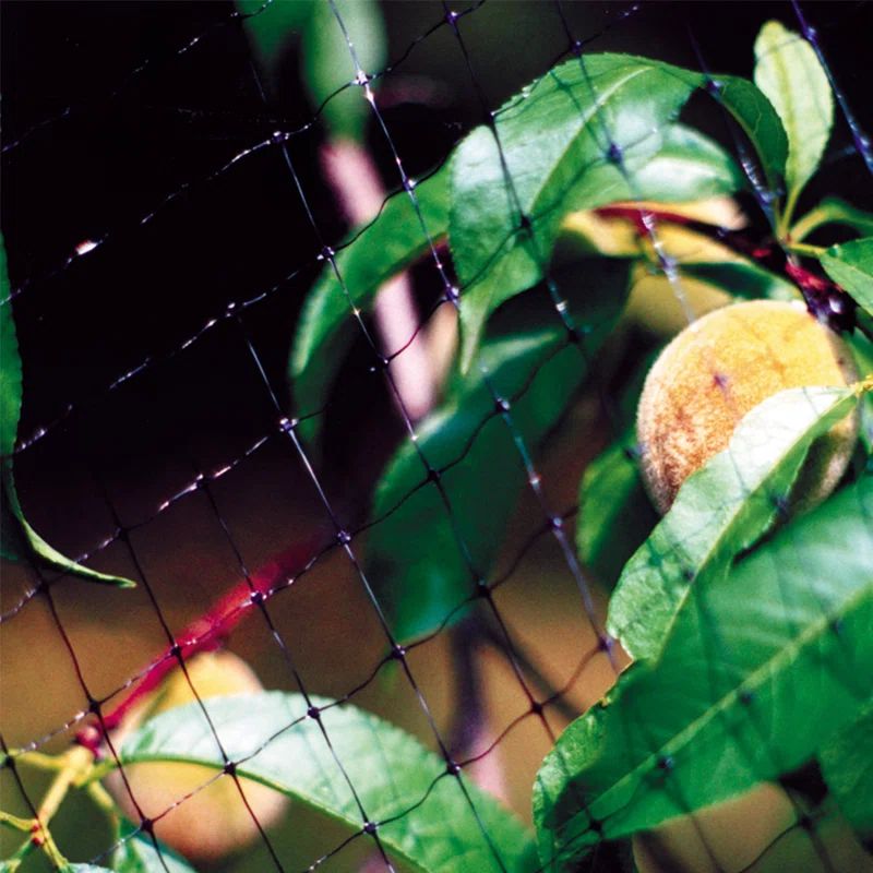 Black Vinyl Outdoor Deer and Bird Netting, 7 ft x 100 ft