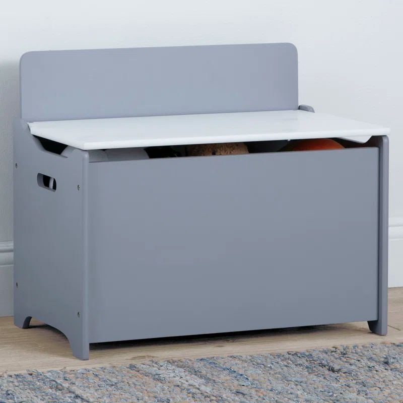 Grey and White Modern Toy Box with Safety Lid