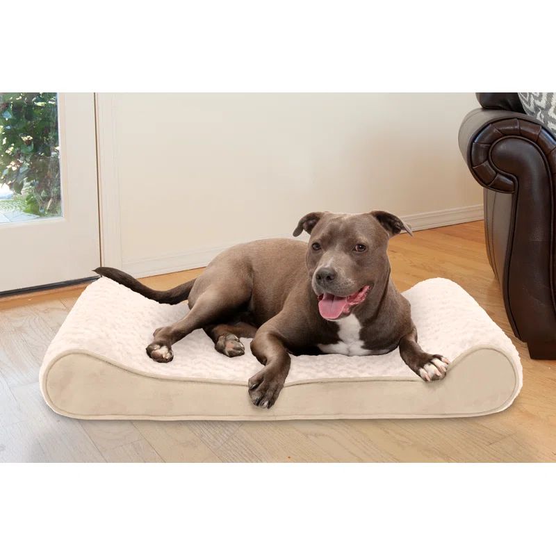 Large Cream Orthopedic Foam Outdoor Pet Bed