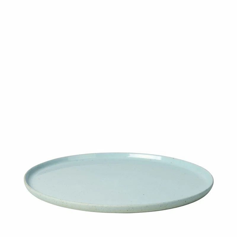 Sablo Ceramic 10" Light Gray Dinner Plates Set of 4