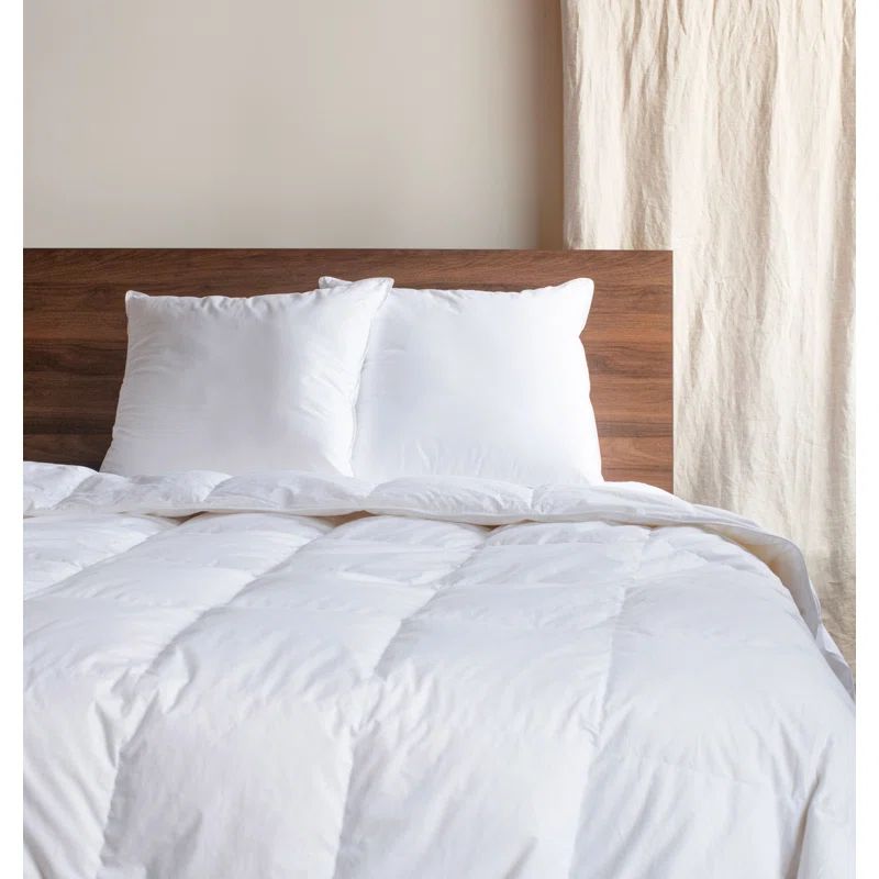 24" x 24" White Cotton Down Alternative Throw Pillow Inserts