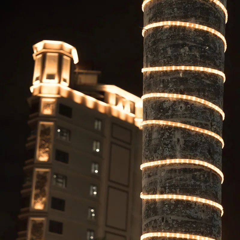 18 ft Warm White LED Outdoor Rope Light with PVC Tubing